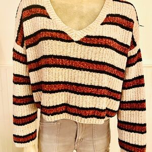 Wild Fable V-Neck Sweater - Cream, Brown, and Black